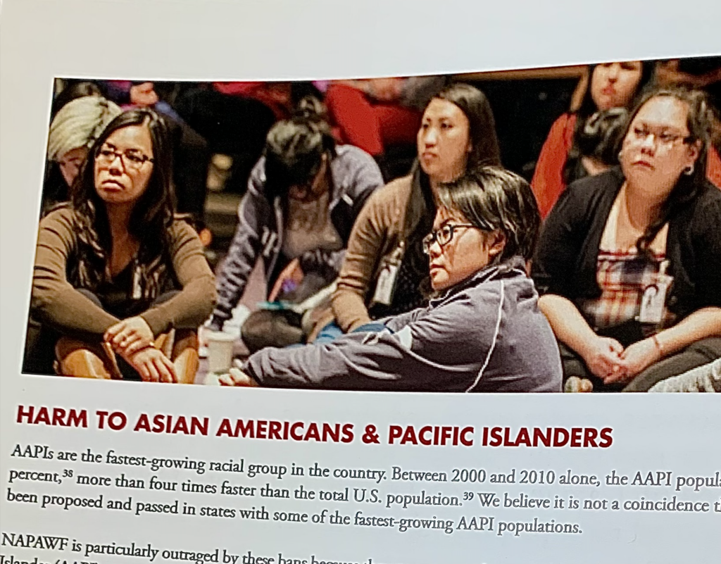 Photo of NAPAWF members over section heading: "Harm to Asian Americans & Pacific Islanders"